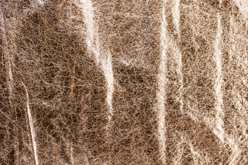 shiny champagne background