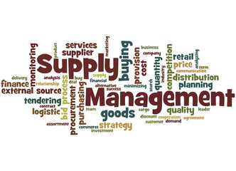Supply Management, word cloud concept 6