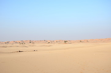 Fototapeta na wymiar Wide plane and sand floor and dunes in Oman