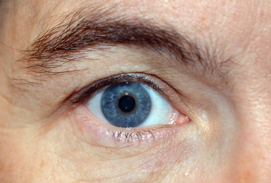 Blue eyeball/Close up of a blue colored eyeball