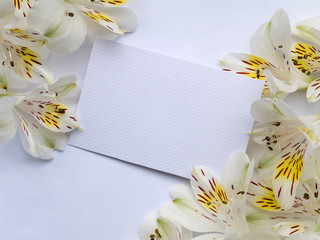 Invitation or greeting card with white alstroemeria flowers