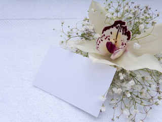 White orchid flower with sprinkles of violet