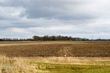 Obraz premium Spring field, agriculture