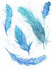 Boho Illustration with Blue Feathers