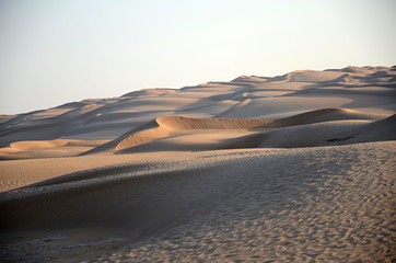 Fototapeta na wymiar Sand dunes and pattern, Oman