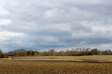 Denmark field on spring, agriculture