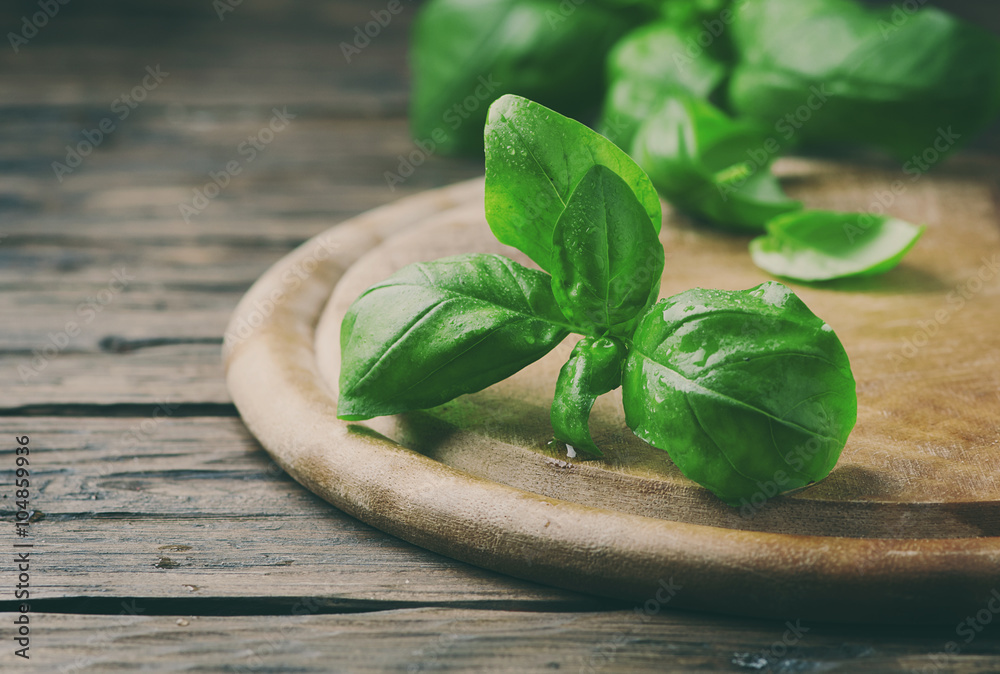 Wall mural Fresh green basil on the wooden table