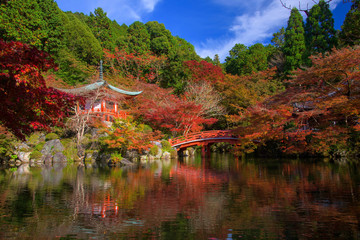 Fototapeta premium Daigoji Temple with autumn red maple, Kyoto