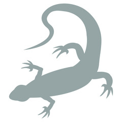 Stylized icon of a colored lizard on a white background