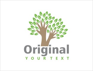 Obraz premium tree two hands