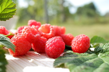 fresh raspberries