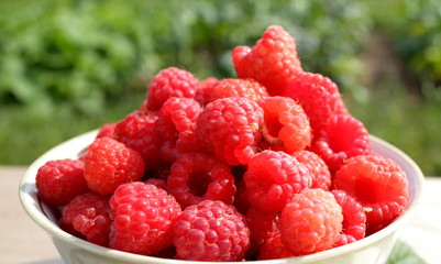 fresh raspberries