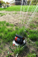 Pop-up oscillating sprinkler watering fresh green lawn grass in the autumn garden