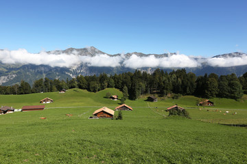 Stable in the alps in the Bernese Oberland, Switzerland
