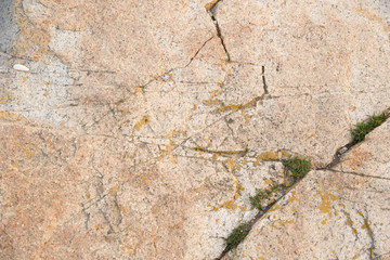 rock surface