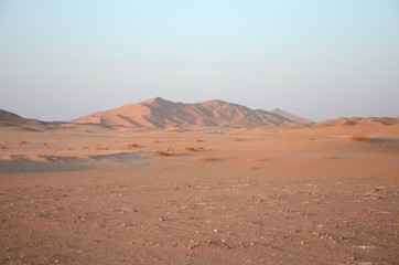 Fototapeta na wymiar Sand dune Oman desert