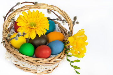 Basket with easter eggs, flowers and catkins on white background