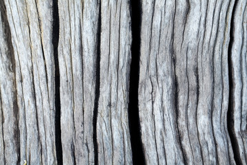 wood texture