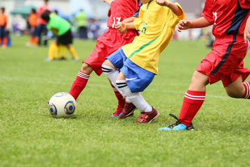 Fototapeta premium サッカー フットボール