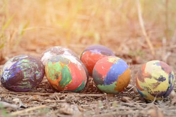 Easter eggs in grass