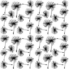 Dandelion seeds. Seamless black and white vector background.