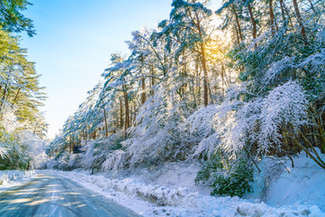 Road in winter , Japan