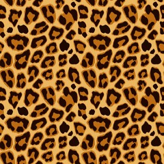 Leopard Seamless Pattern - 104874947