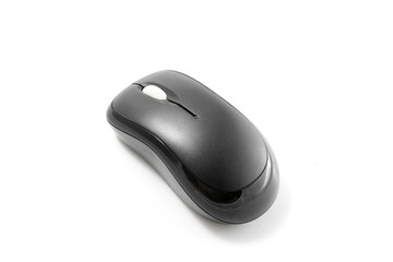 computer mouse on white background