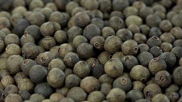 Portion of rotating Allspice (not loopable 4K footage)
