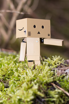Danbo in the Forest