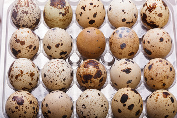 raw quail eggs closeup in plastic packaging