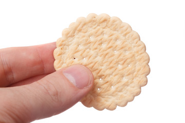 delicious fresh cookies isolated on white background