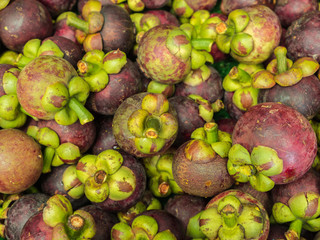 Closeup fresh mangosteen.