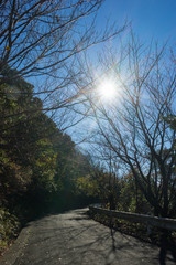 Hiking road of Mt. Kanuki