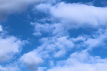Cumulus clouds