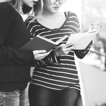 Women Talking Friendship Studying Brainstorming Concept