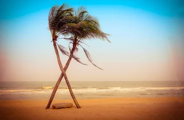 Papier Peint photo autocollant Palmier Deux cocotiers croisés sur la plage. Ton vintage