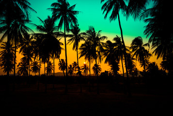 Obraz premium Silhouette coconut palm trees on beach at sunset. Vintage tone.