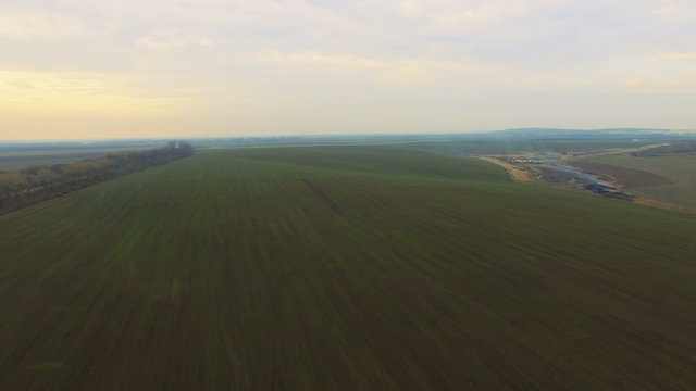Aerial view of field with wheat