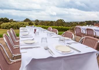 Outdoor table setting in a wineyard