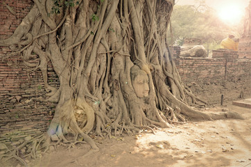 Obraz premium Tourist Attraction, Head of Buddha in Wat Mahathat The Temple of Great Relic of Ayutthaya, Thailand.