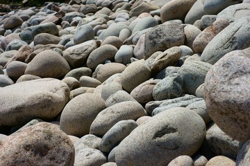 Grey sea pebbles in variety of sizes and colors.