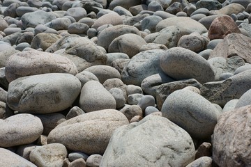 Grey sea pebbles in variety of sizes and colors.