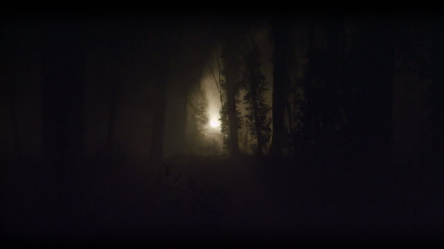 Strange light in forest look like an alien UFO.