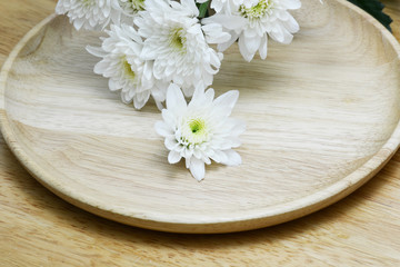 daisy in macro style