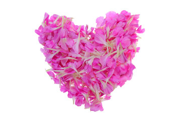 Serce z płatków © fotodrobik