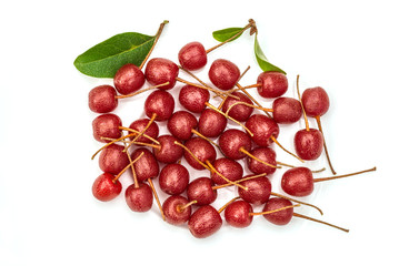 Cherry silverberry berries. Close-up shot.