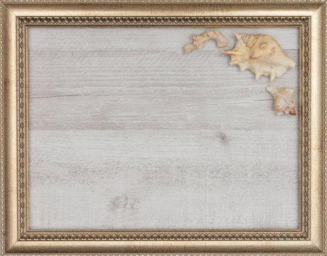 gilded picture frame with shells inside