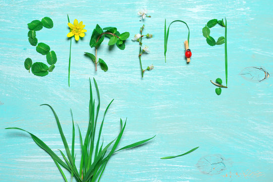 Funny spring background