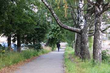 Park walkway